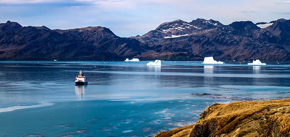 der Eisbrecher «Polarstern» in der Cumberland Bay in Südgeorgien. Foto: Thomas Ronge, AWI