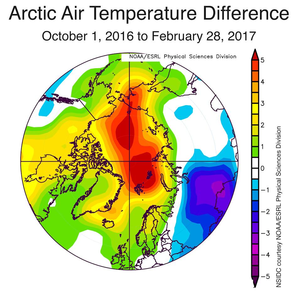 Die Grafik zeigt die arktischen Lufttemperaturunterschiede vom 1. Oktober 2016 bis 28. Februar 2017. Gelb, orange und rot sind die Ã¼berdurchschnittlichen Temperaturen, blau bis Purpur unterdurchschnittlich. Grafik: NSIDC