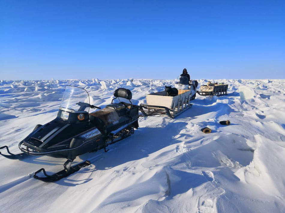Freiwillige des WWF Russland haben auf einer Schneemobil-Expedition EisbÃ¤renhÃ¶hlen gezÃ¤hlt. (Bild: WWF Russland)