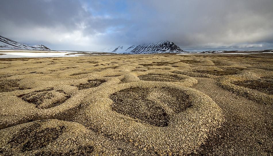 Wo auf der Welt taut der Permafrost?
